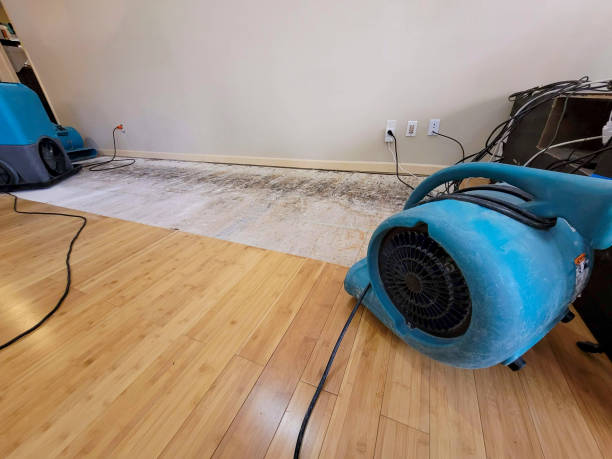 Professional Structural Drying technician working in Decaturville, TN